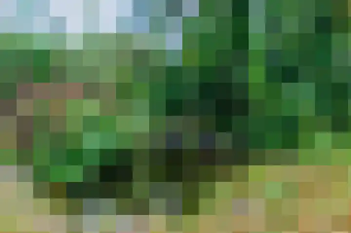 Spaltenbrêge 7 Terwispel thumbnail 20