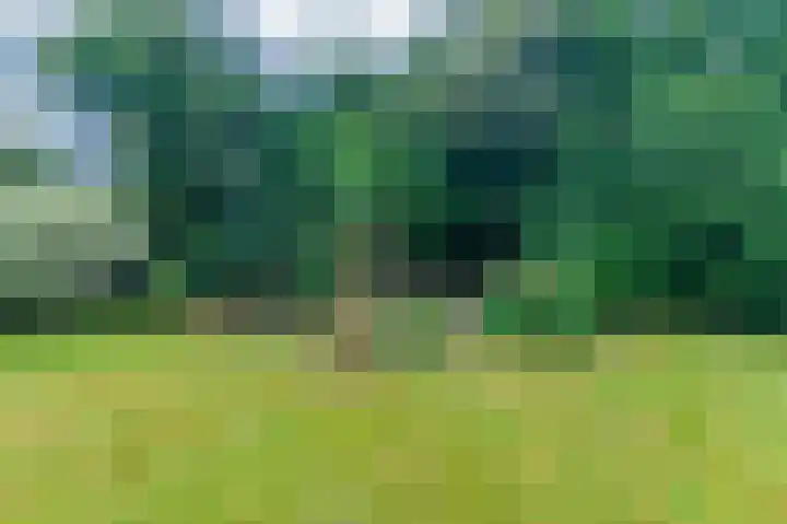 Spaltenbrêge 7 Terwispel thumbnail 21
