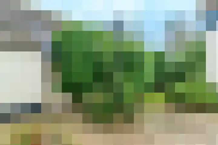 Spaltenbrêge 7 Terwispel thumbnail 23