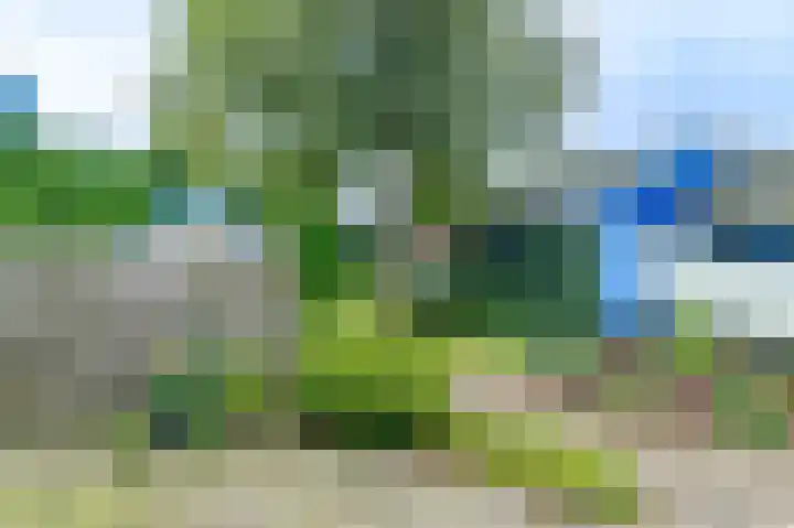 Spaltenbrêge 7 Terwispel thumbnail 27