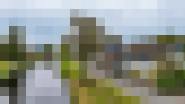 Spaltenbrêge 7 Terwispel thumbnail 34