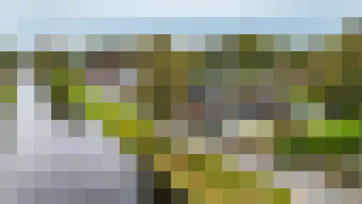 Spaltenbrêge 7 Terwispel thumbnail 35