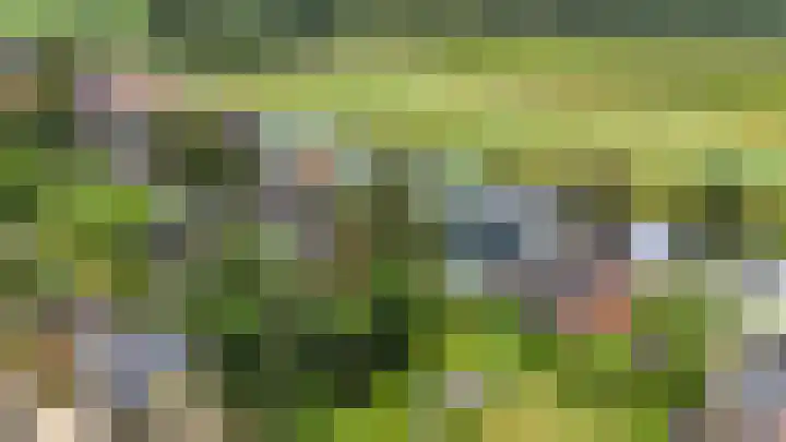 Spaltenbrêge 7 Terwispel thumbnail 37