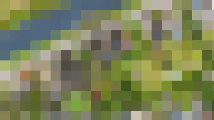Spaltenbrêge 7 Terwispel thumbnail 38
