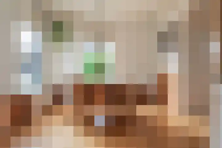 Spaltenbrêge 7 Terwispel thumbnail 44