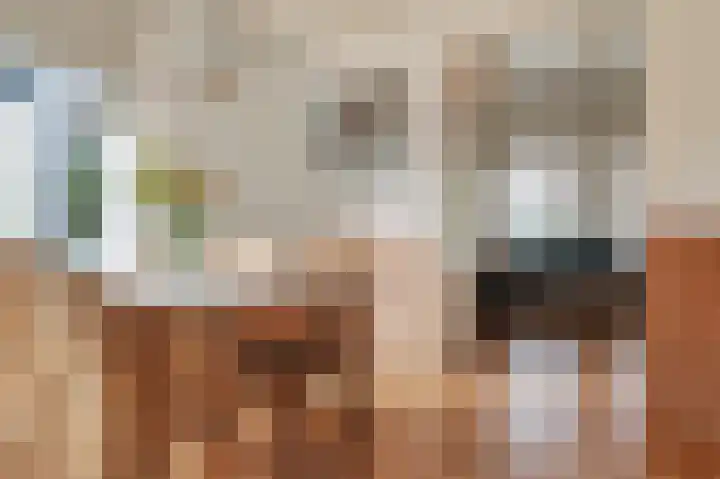 Spaltenbrêge 7 Terwispel thumbnail 45