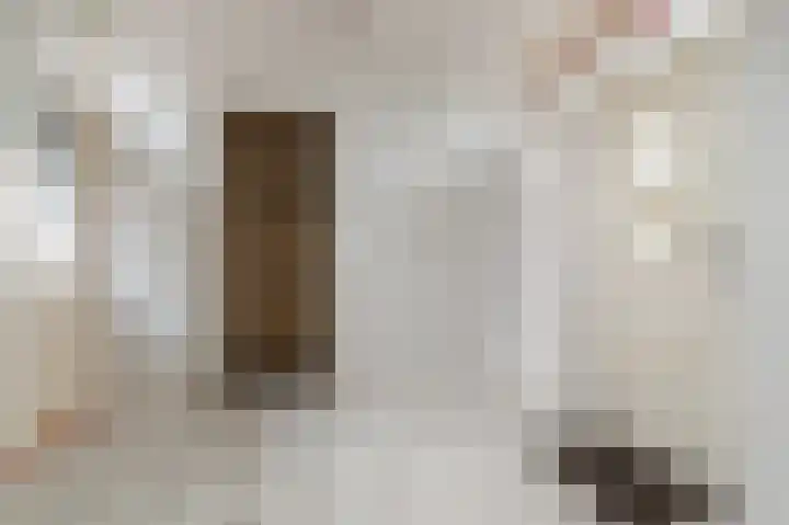 Spaltenbrêge 7 Terwispel thumbnail 46