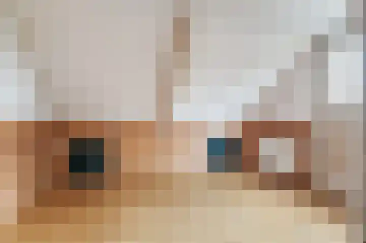Spaltenbrêge 7 Terwispel thumbnail 57