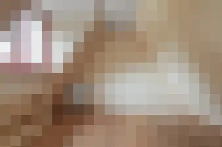 Spaltenbrêge 7 Terwispel thumbnail 61