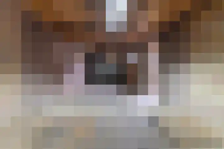 Spaltenbrêge 7 Terwispel thumbnail 63