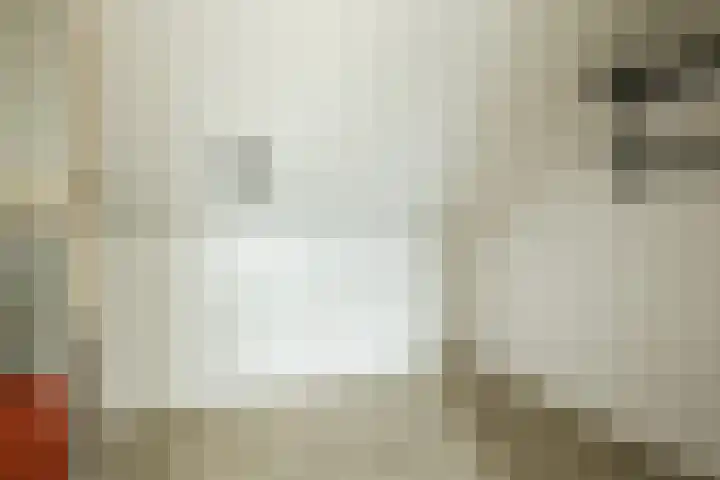Spalterven 46 Enschede thumbnail 33