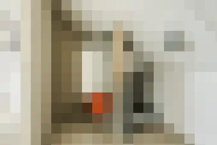Spalterven 46 Enschede thumbnail 34