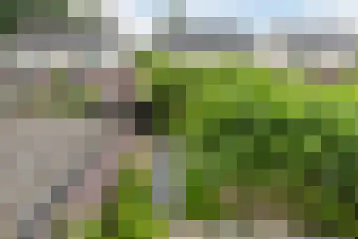 Spalterven 46 Enschede thumbnail 35