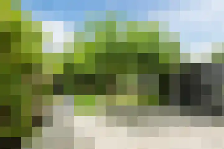 Spalterven 46 Enschede thumbnail 40