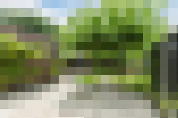 Spalterven 46 Enschede thumbnail 41