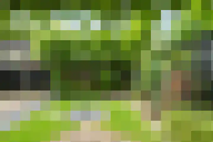 Spalterven 46 Enschede thumbnail 42