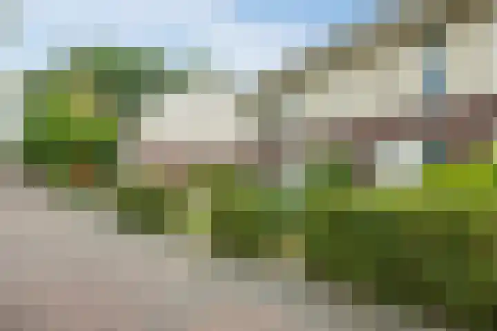 Spalterven 46 Enschede thumbnail 49