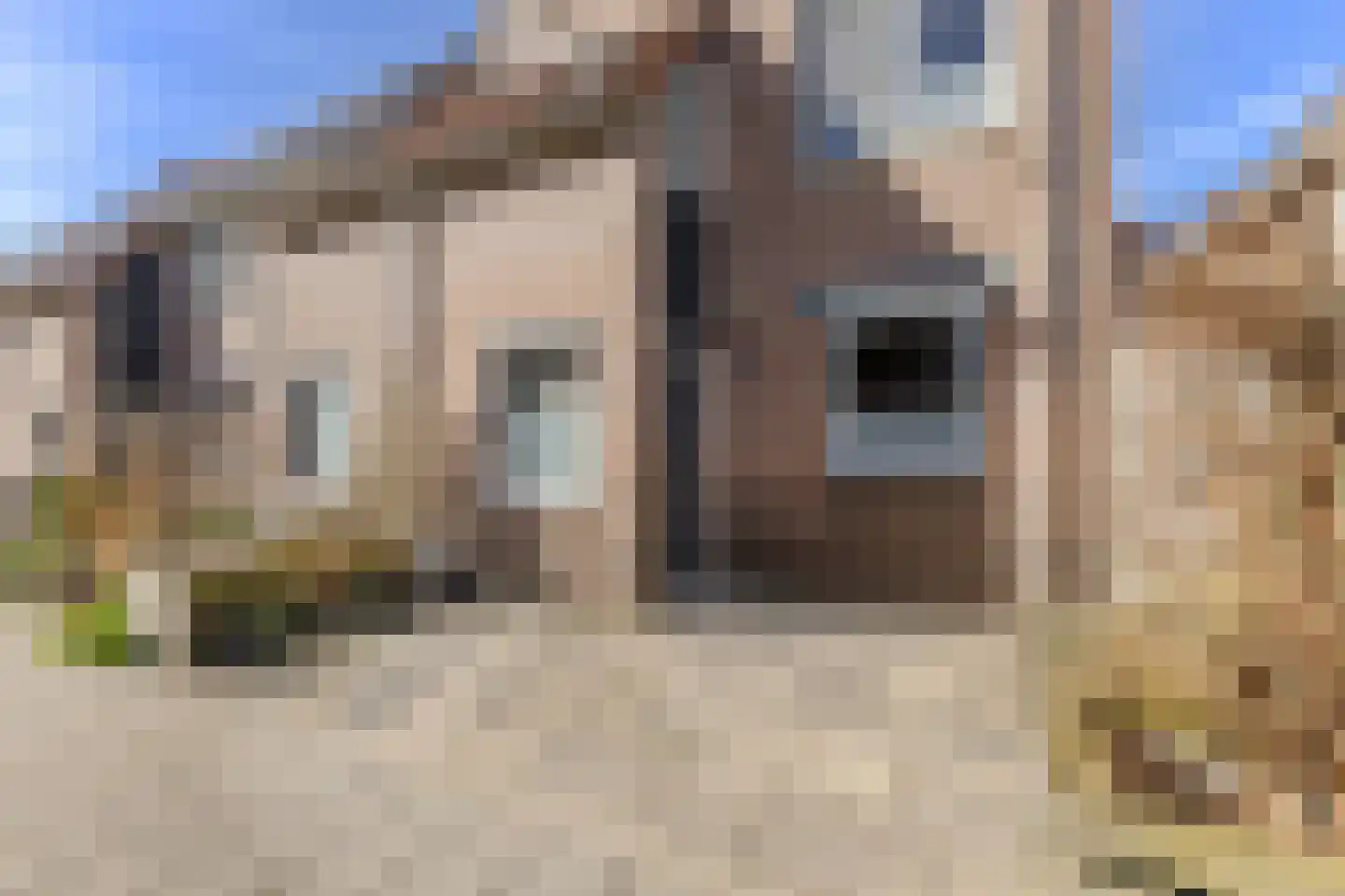Spanbroekstraat 2 Zaandam thumbnail 30