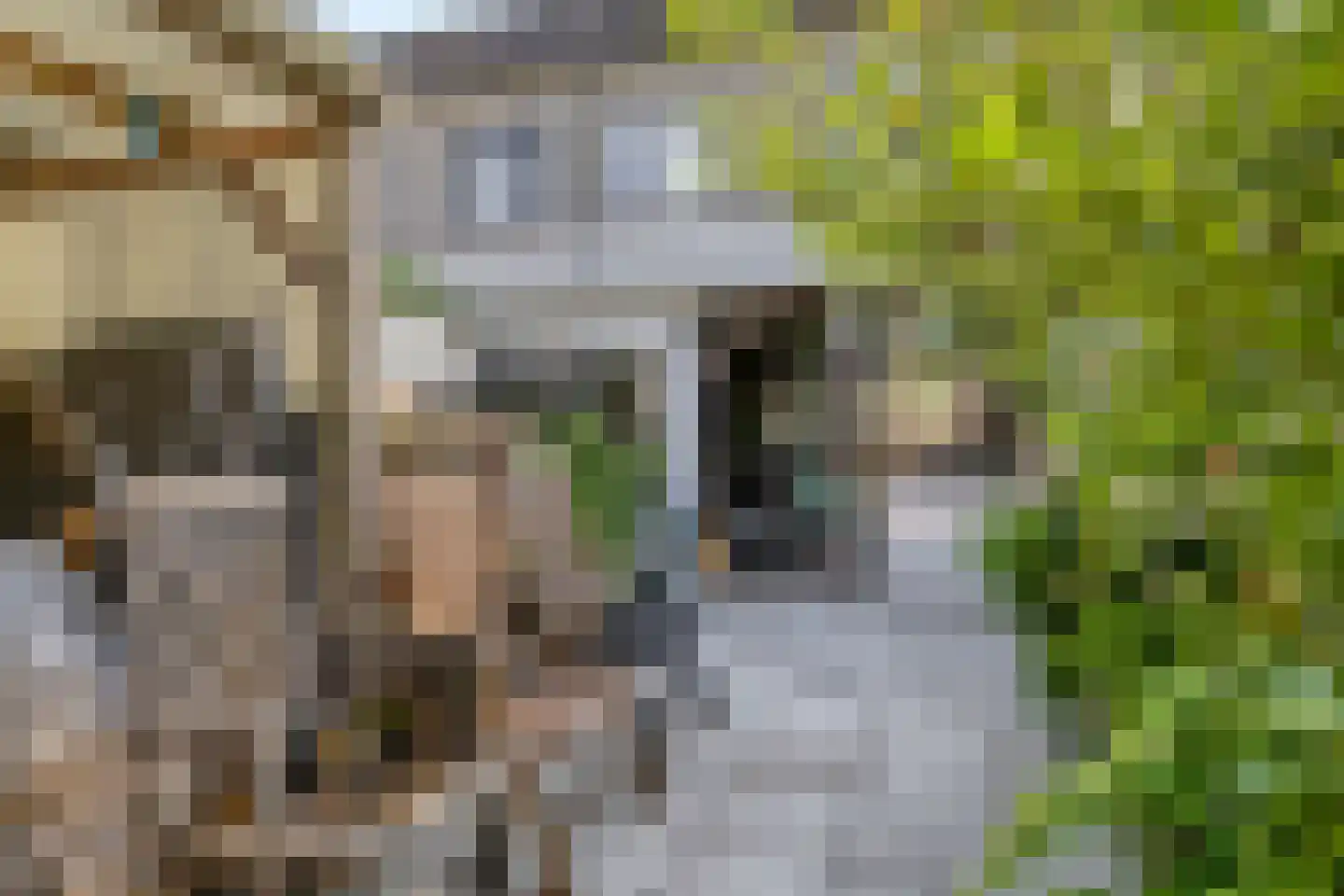 Spanderswoudstraat 1 Almere thumbnail 37