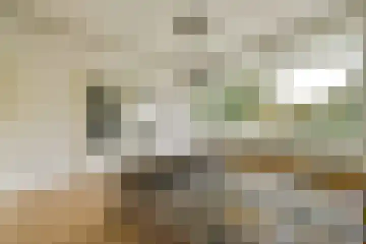 Spanderswoudstraat 146 Amsterdam thumbnail 11