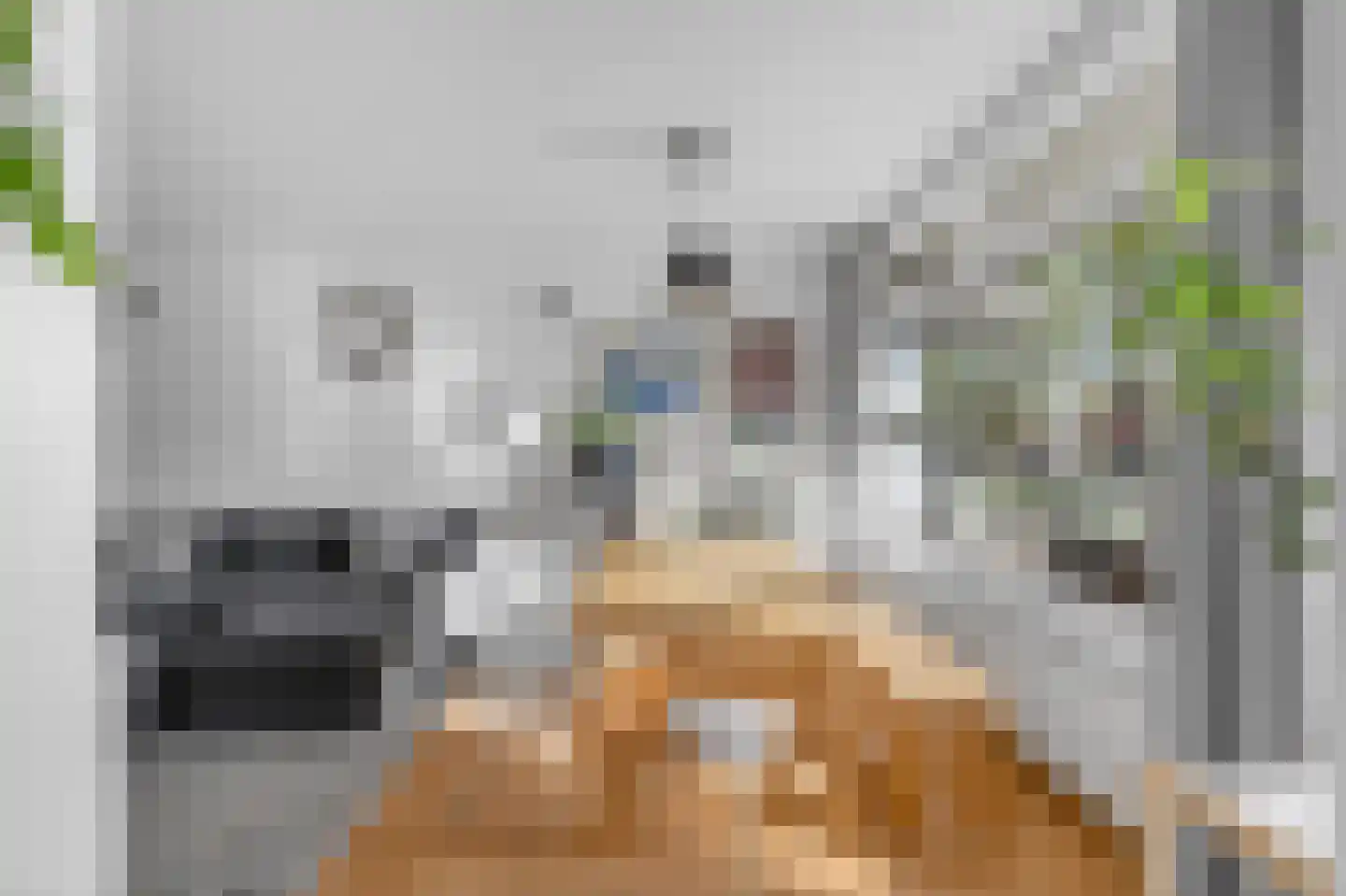 Spanderswoudstraat 24 Amsterdam thumbnail 14