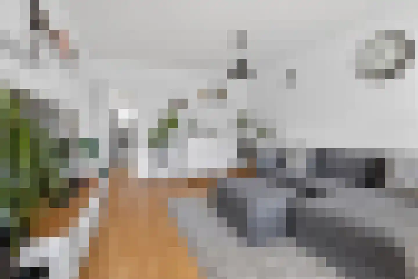 Spanderswoudstraat 24 Amsterdam thumbnail 17