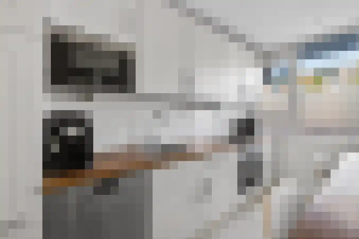 Spanderswoudstraat 24 Amsterdam thumbnail 20