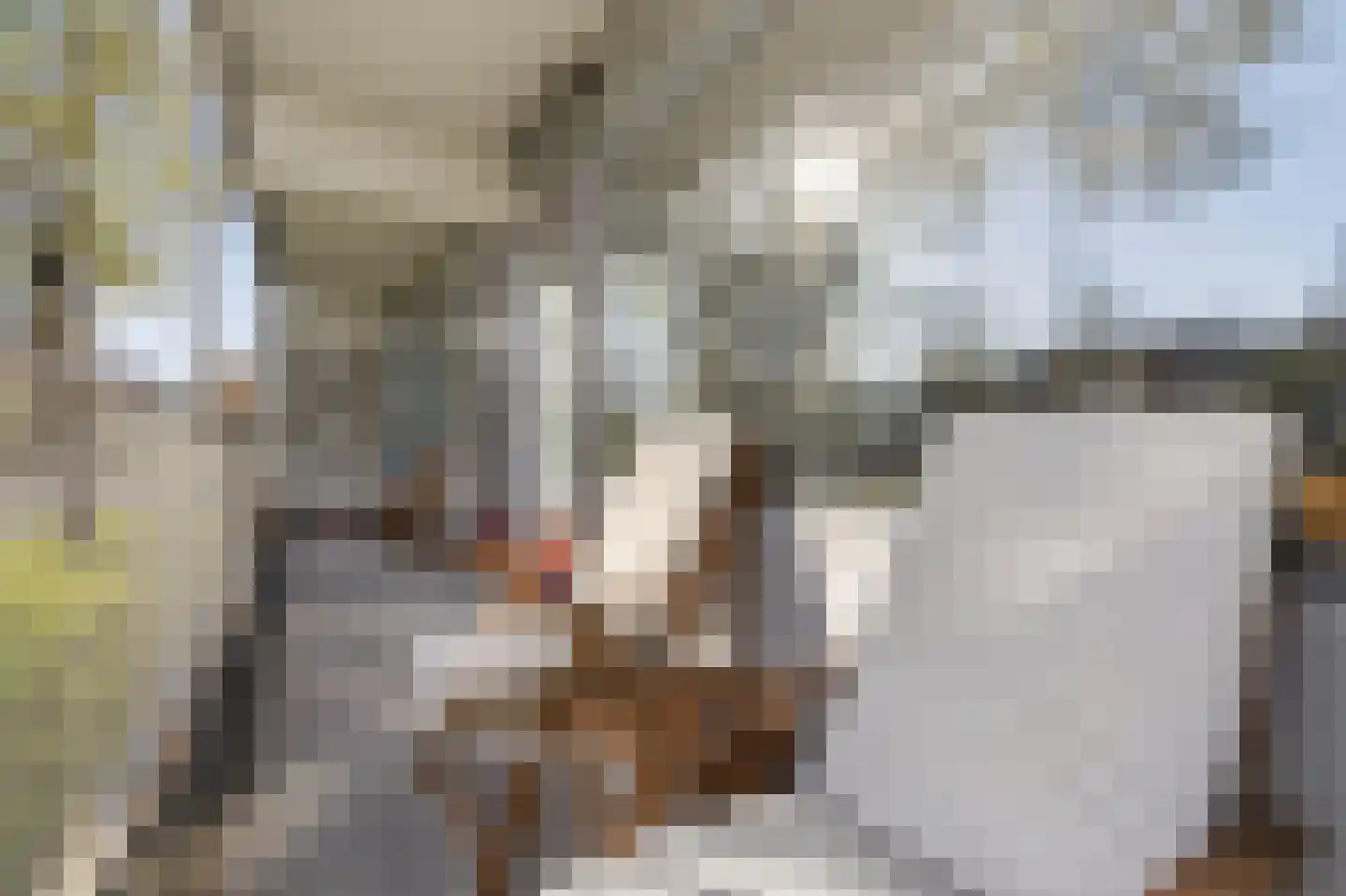 Spanderswoudstraat 24 Amsterdam thumbnail 28