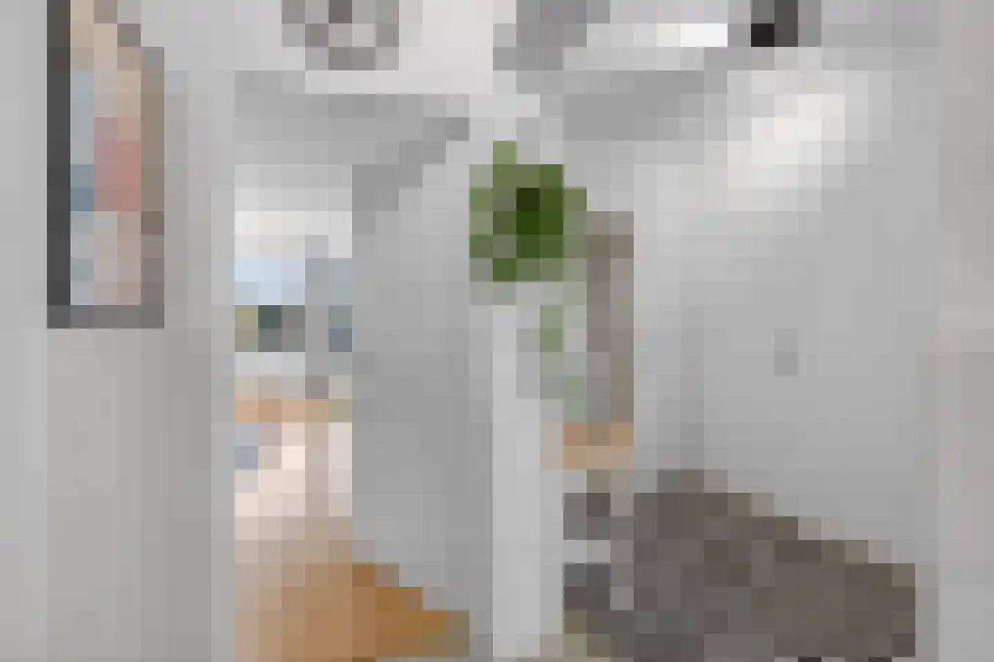 Spanderswoudstraat 24 Amsterdam thumbnail 30