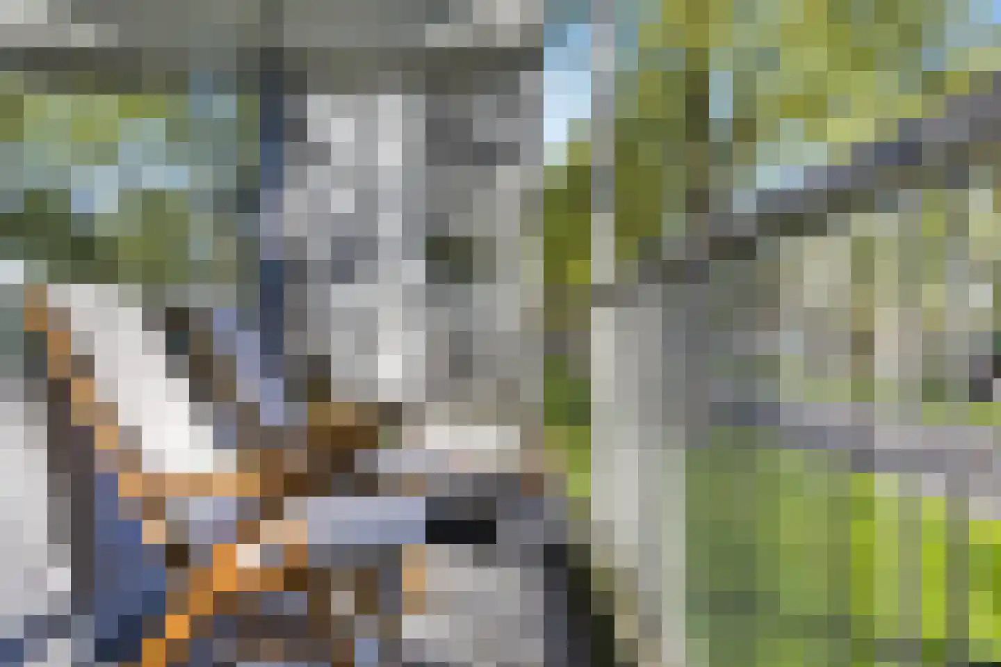 Spanderswoudstraat 24 Amsterdam thumbnail 39
