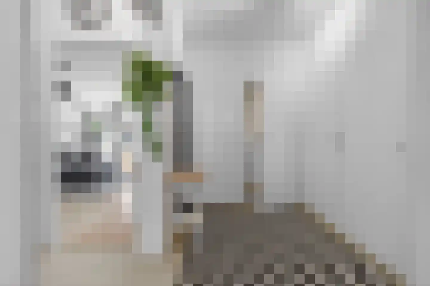 Spanderswoudstraat 24 Amsterdam thumbnail 8