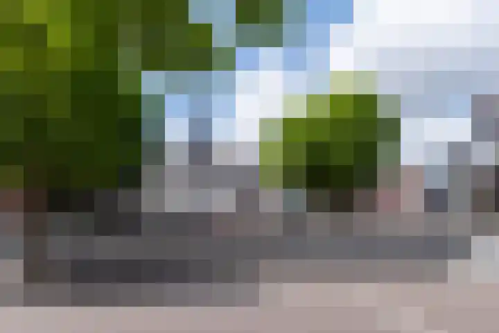 Spanderswoudstraat 27 Almere thumbnail 30