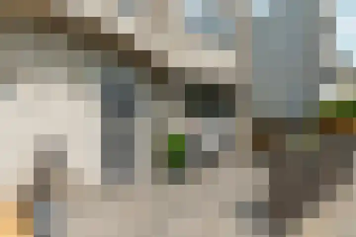 Spanderswoudstraat 27 Almere thumbnail 35
