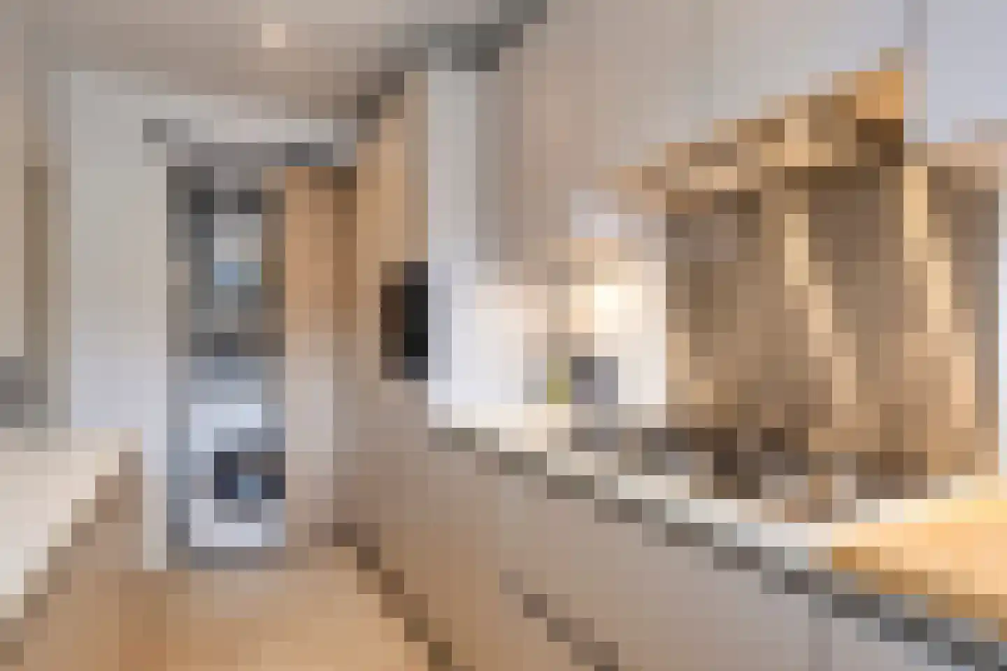 Spanderswoudstraat 32 Amsterdam thumbnail 20