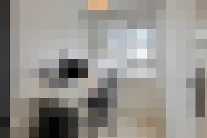 Spanderswoudstraat 32 Amsterdam thumbnail 25