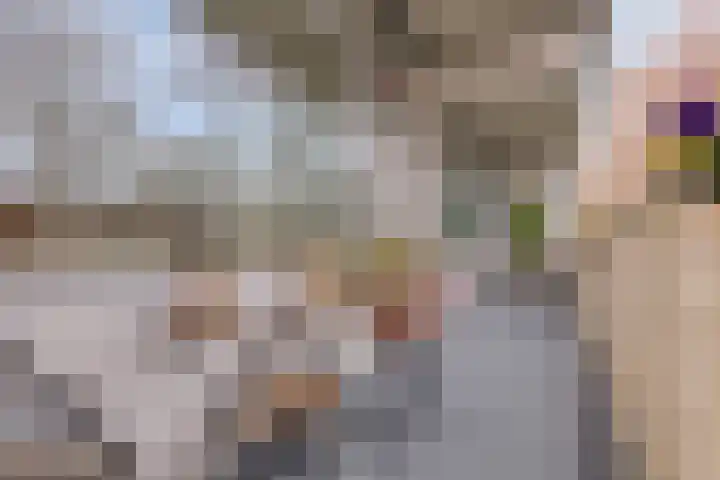 Spanderswoudstraat 32 Amsterdam thumbnail 27