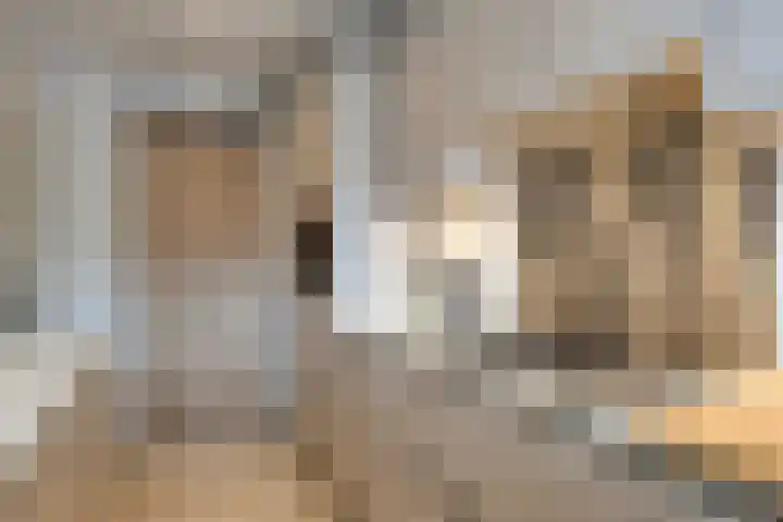 Spanderswoudstraat 32 Amsterdam thumbnail 4