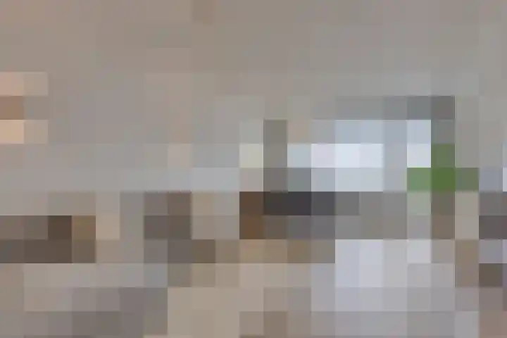 Spanderswoudstraat 32 Amsterdam thumbnail 7