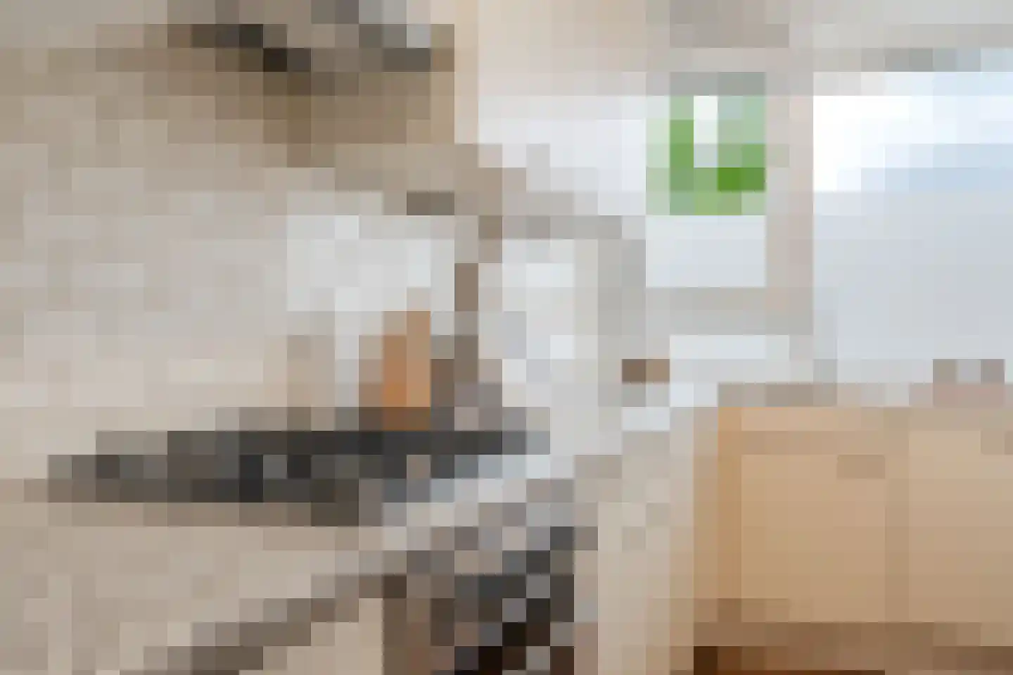 Spanderswoudstraat 42 Amsterdam thumbnail 17