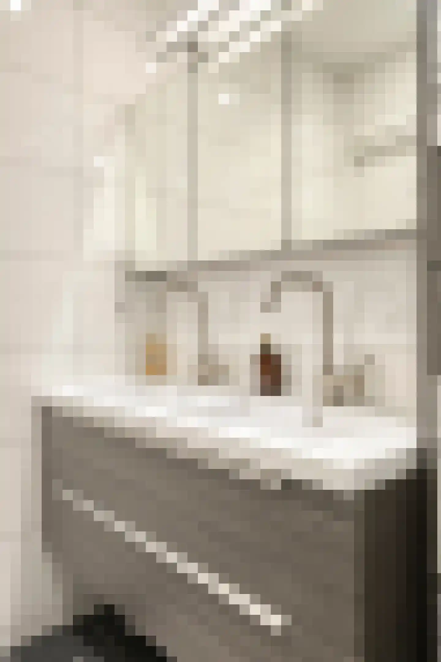 Spanderswoudstraat 66 Amsterdam thumbnail 29