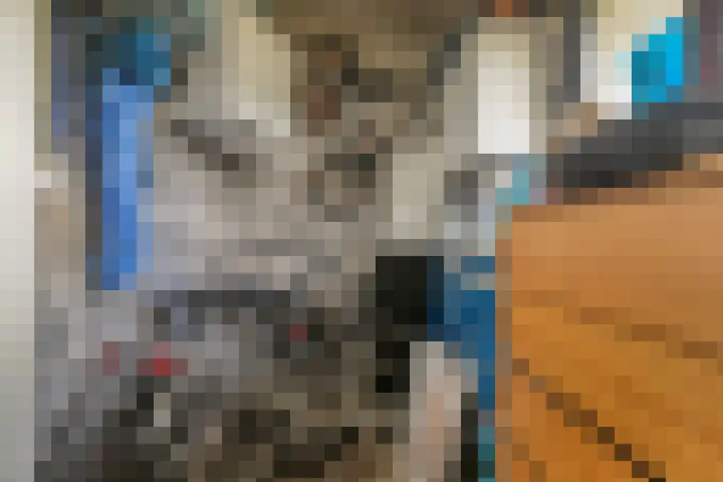 Spanderswoudstraat 66 Amsterdam thumbnail 31