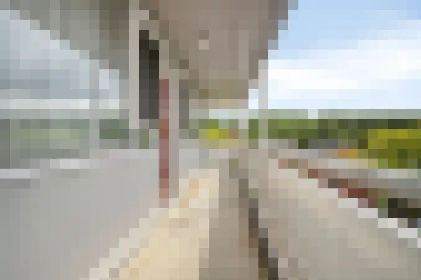 Spanderswoudstraat 66 Amsterdam thumbnail 7