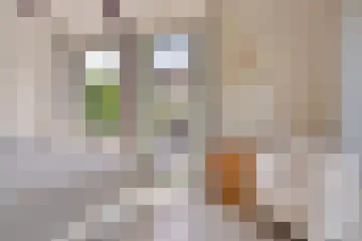 Spangahoekweg 22 Spanga thumbnail 21