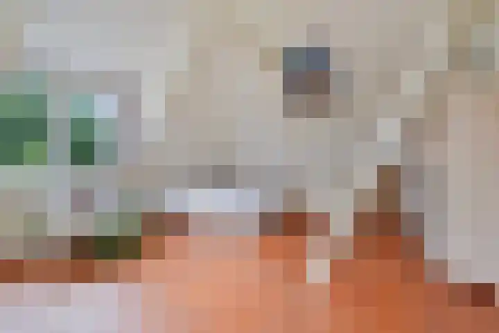 Spangahoekweg 22 Spanga thumbnail 27