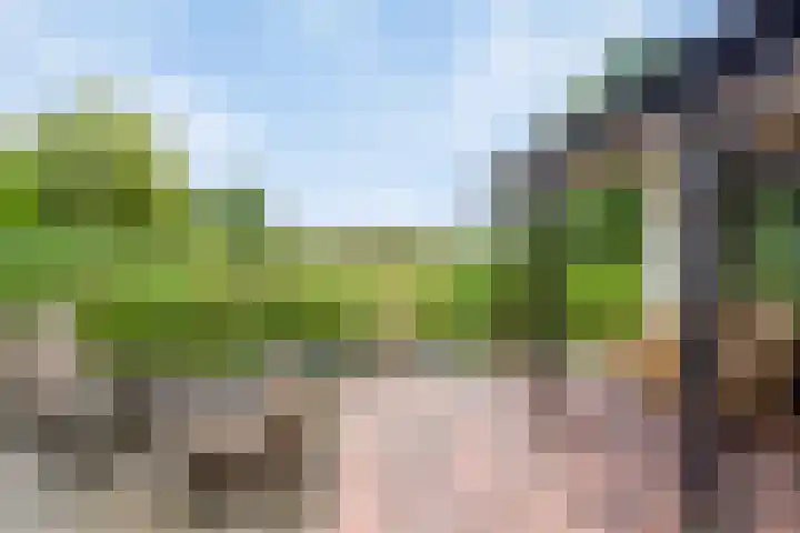 Spangahoekweg 22 Spanga thumbnail 35