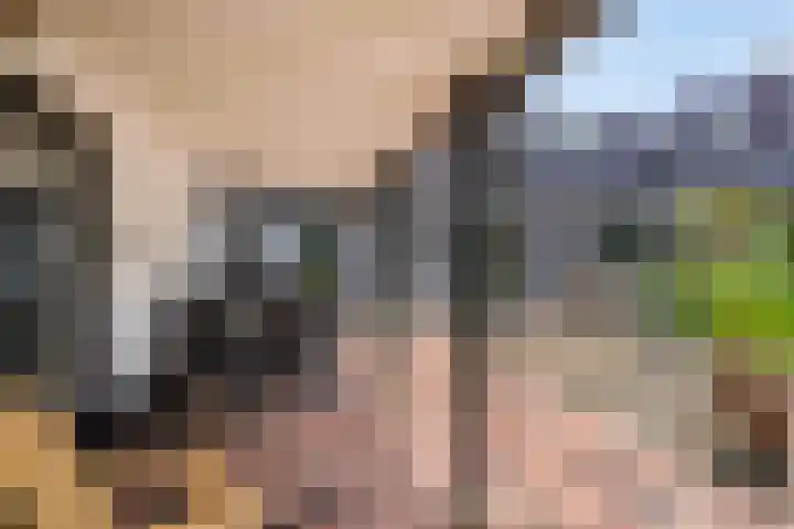 Spangahoekweg 22 Spanga thumbnail 37