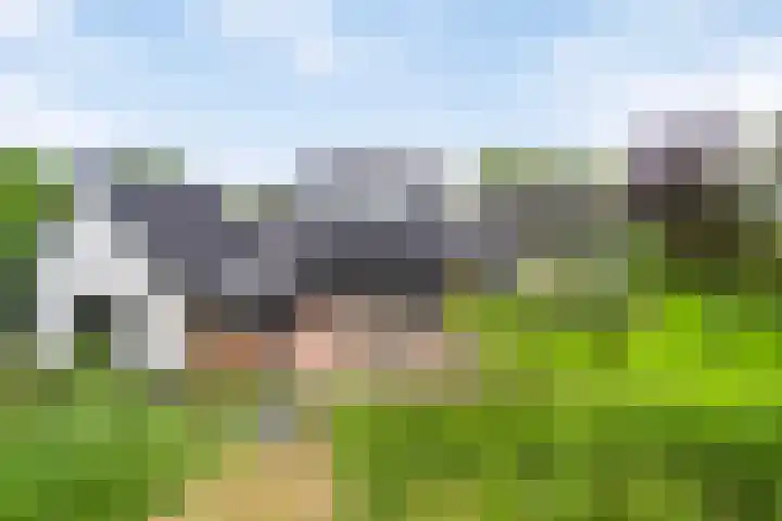 Spangahoekweg 22 Spanga thumbnail 4