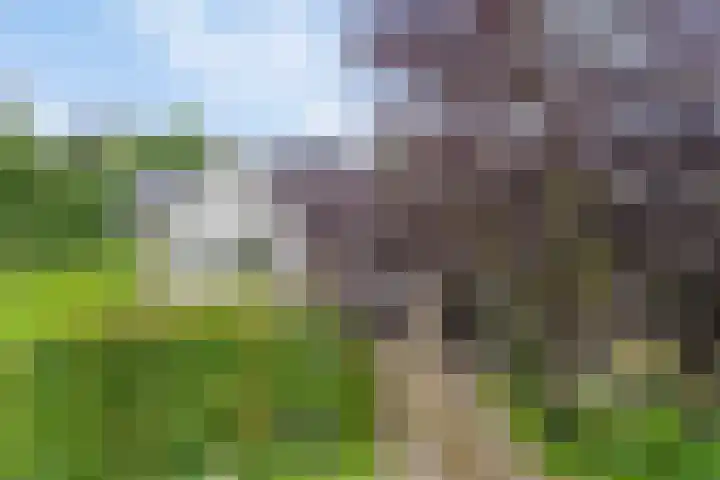 Spangahoekweg 22 Spanga thumbnail 5