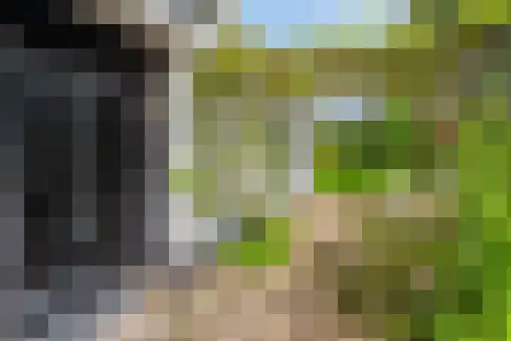 Spangahoekweg 22 Spanga thumbnail 8