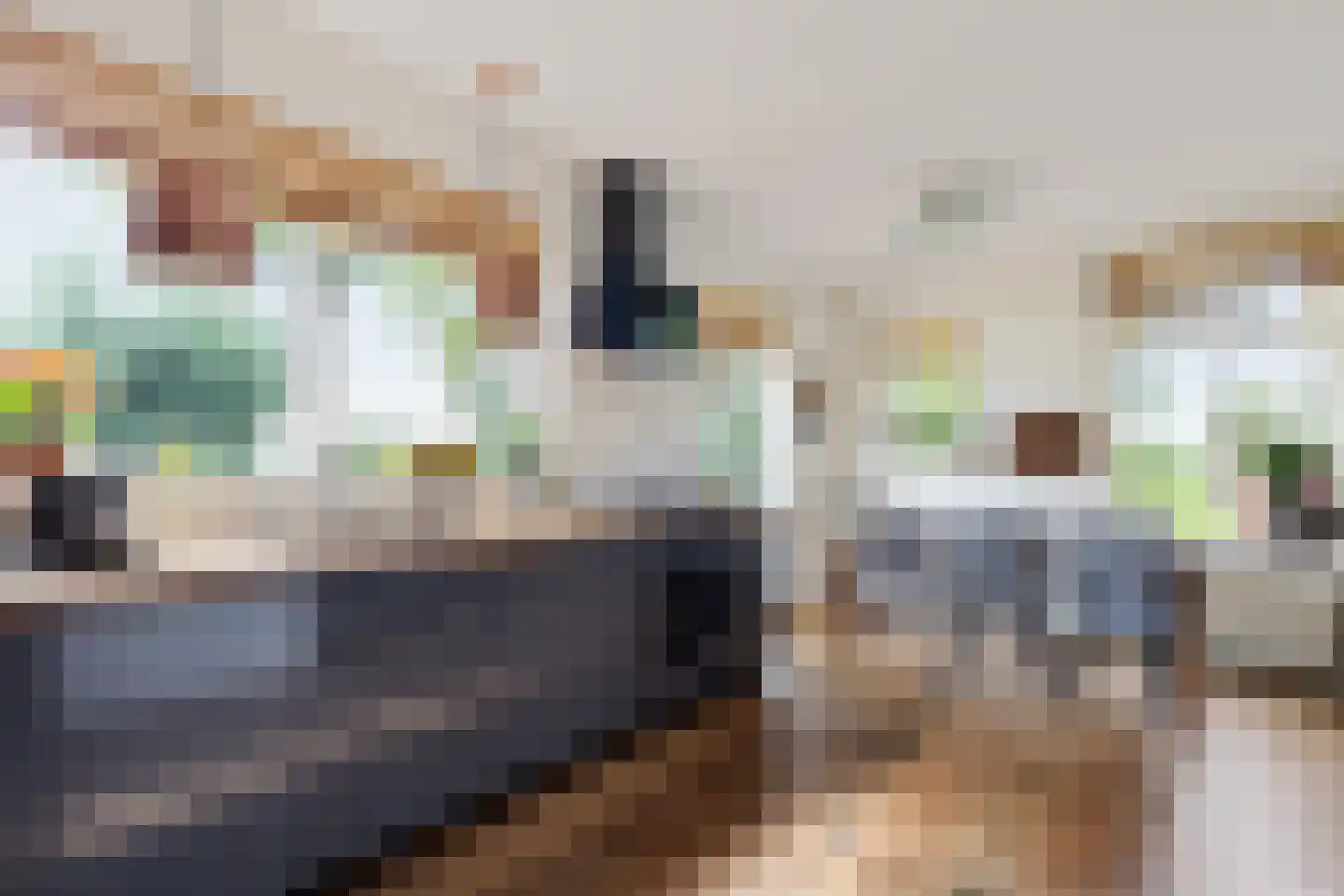 Spangahoekweg 39 Spanga thumbnail 21
